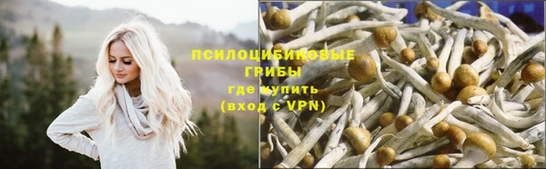 первитин Кинешма