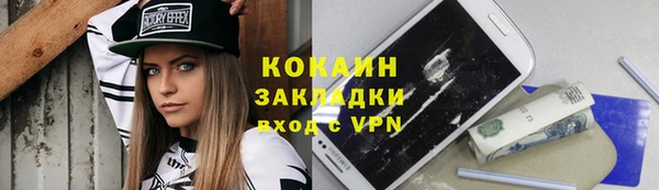 индика Каменск-Шахтинский