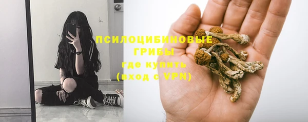сатива Кодинск